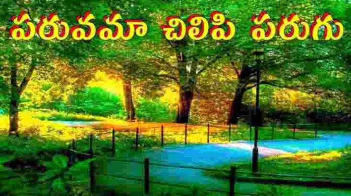 Paruvama Chilipi Parugu Song Lyrics