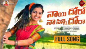 Nayi Doro Naa Sinni Dora Song Lyrics