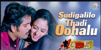 Sudigalilo Thadi Oohalu Song Lyrics