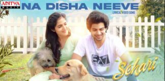 Naa Disha Neeve Song Lyrics