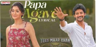 Papa Agave Song Lyrics