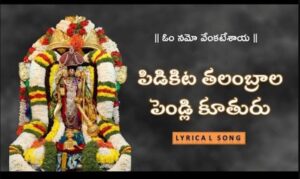 Pidikita Talambrala Pelli Kuthuru Lyrics