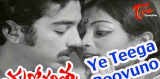 Ye Teega Puvvuno Song Lyrics