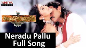 Neredu Pallu Song Lyrics