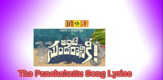 The Panchakattu Song Lyrics