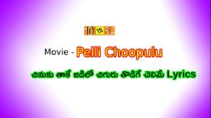 Chinuku Taake Lyrics