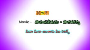 Meena Meena Song Lyrics