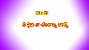 Nee Prema Naa Jeevithanni Song Lyrics