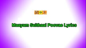 Maayam Seithaai Poovae Song Lyrics
