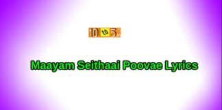Maayam Seithaai Poovae Song Lyrics