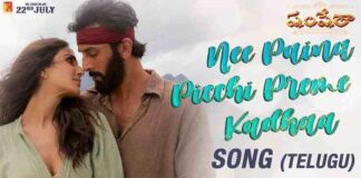 Nee Paina Picchi Preme Kadhaa Song Lyrics