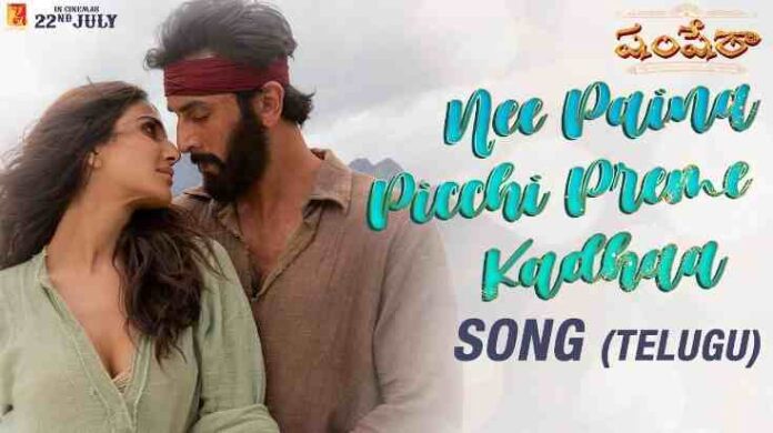 Nee Paina Picchi Preme Kadhaa Song Lyrics