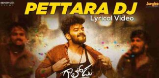 Pettara DJ Song Lyrics