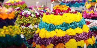 Iddaru Akka Chellelu Bathukamma Song Lyrics