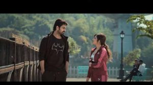 Krishna Vrinda Vihari Title Song Lyrics