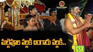 Mallepula Pallaki Bangaru Pallaki Song Lyrics