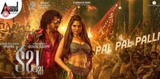 Pal Pal Palli Song Lyrics