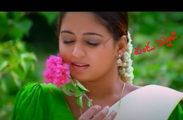 Pandu Vennello Song Lyrics