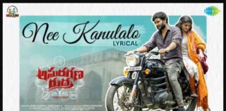 Nee Kanulalo Song Lyrics