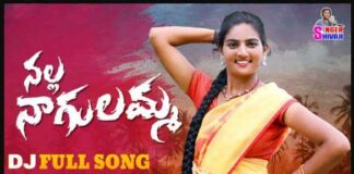 Nalla Nagulamma Song Lyrics