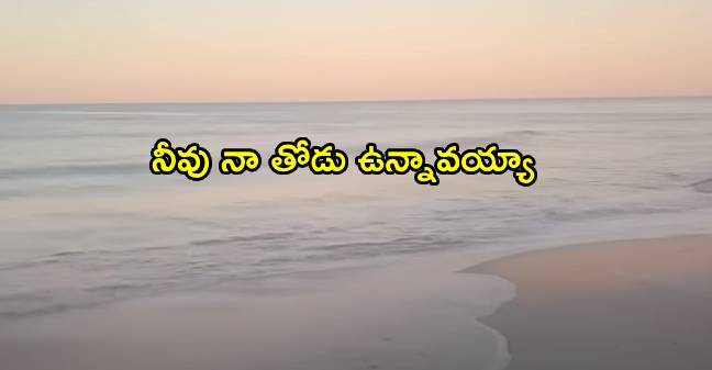 Neevu Naa Thodu Unnavayya Song Lyrics