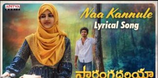 Naa Kannule Chupinche Song Lyrics