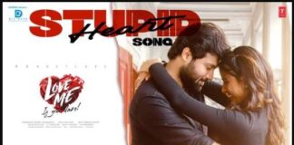 Stupid Heart Telugu Song Lyrics