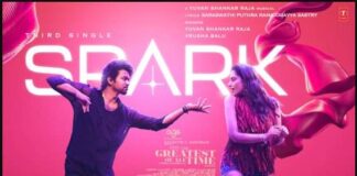 Spark Telugu Song Lyrics