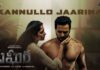 Kannullo Jaarina Song Lyrics