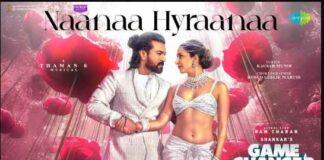 NaaNaa Hyraanaa Song Lyrics