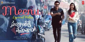 Meenu Telugu Song Lyrics